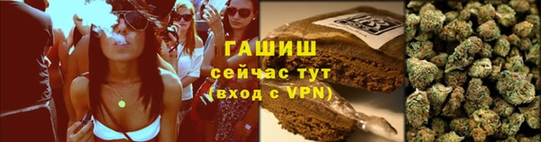 прущие грибы Беломорск