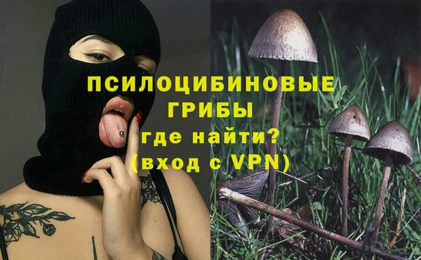 ПСИЛОЦИБИНОВЫЕ ГРИБЫ Белокуриха