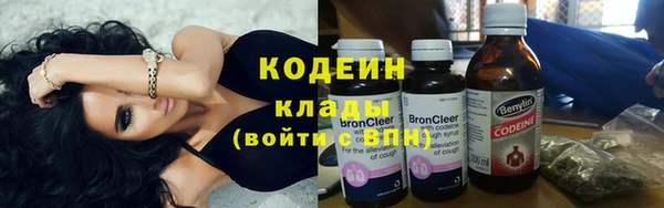 прущие грибы Беломорск