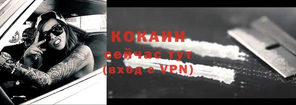 ПСИЛОЦИБИНОВЫЕ ГРИБЫ Белокуриха