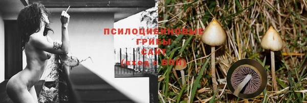 ПСИЛОЦИБИНОВЫЕ ГРИБЫ Белокуриха