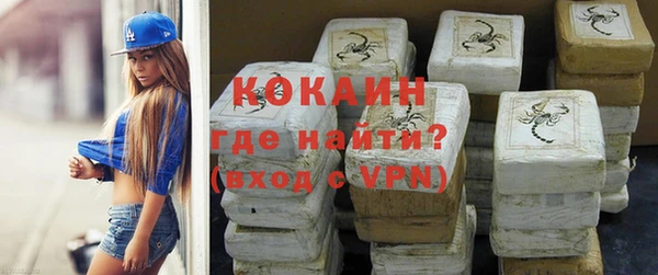 прущие грибы Беломорск