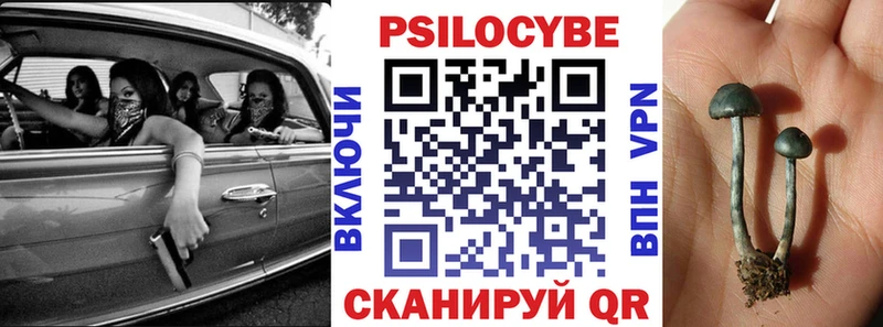 сколько стоит  Вельск  Псилоцибиновые грибы ЛСД 